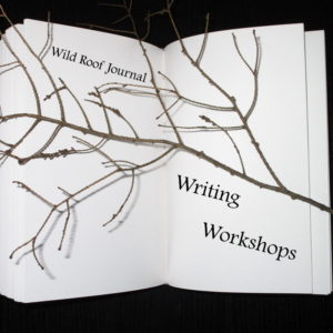 Writing Workshops
