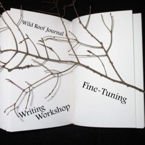 Workshop 2: Fine-Tuning / Preparing Writing for Submissions