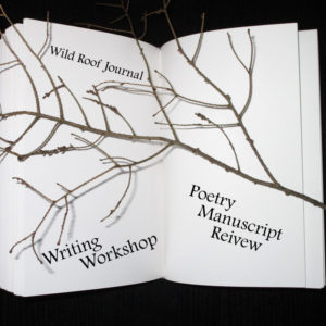 Workshop 1: Poetry Manuscript Review / Creating a Cohesive Collection