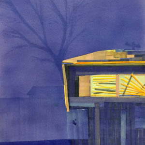 Wild Roof Journal Issues (PDF download)