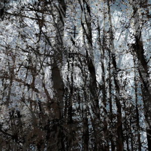 "Portal," original photo print, 11" x 14"