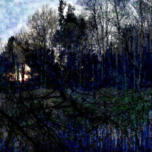 "Windfall (Evening #1)," original photo print, 11" x 14"