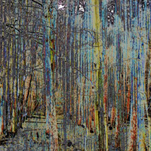"Kinetic Tapestry," original photo print, 11" x 14"