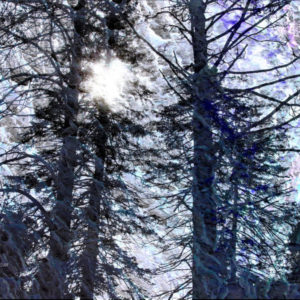 "So Above As Below," original photo print, 8" x 10"