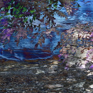 "Corrective Lapse," original photo print, 8" x 10"