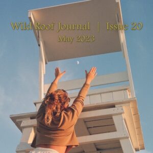 Issue 20 | May 2023 | PDF