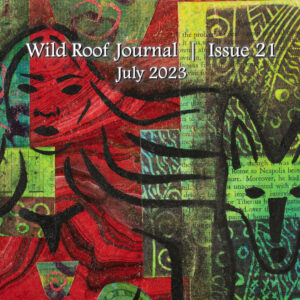 Issue 21 | July 2023 | PDF