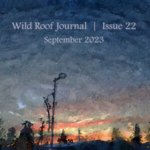 Issue 22 | September 2023 | PDF