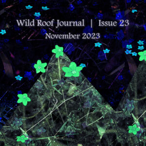 Issue 23 | November 2023 | PDF