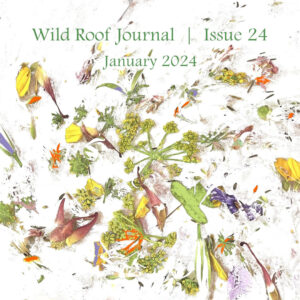 Issue 24 | January 2024 | PDF