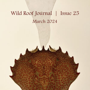 Issue 25 | March 2024 | PDF