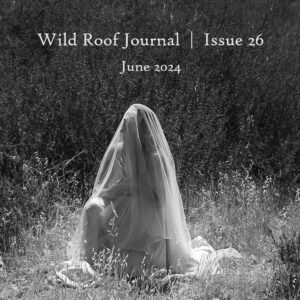 Issue 26 | June 2024 | PDF