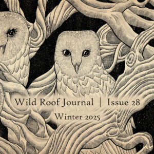Issue 28 | Winter 2025 | PDF