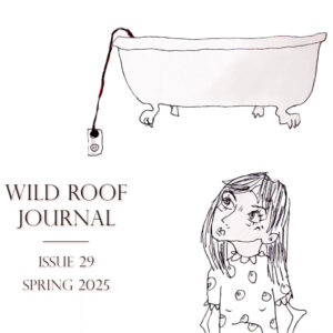 Issue 29 | Spring 2025 | PDF