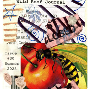 Issue 30 | Summer 2025 | PDF