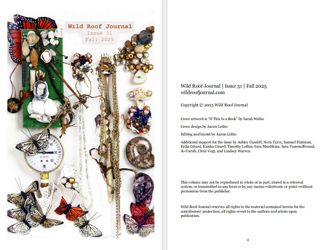 Issue 31 | Fall 2025 | PDF