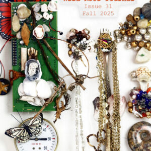 Issue 31 | Fall 2025 | PDF