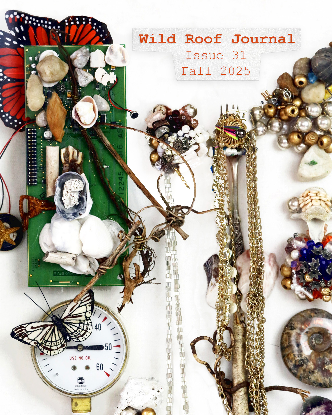 Issue 31 | Fall 2025 | PDF